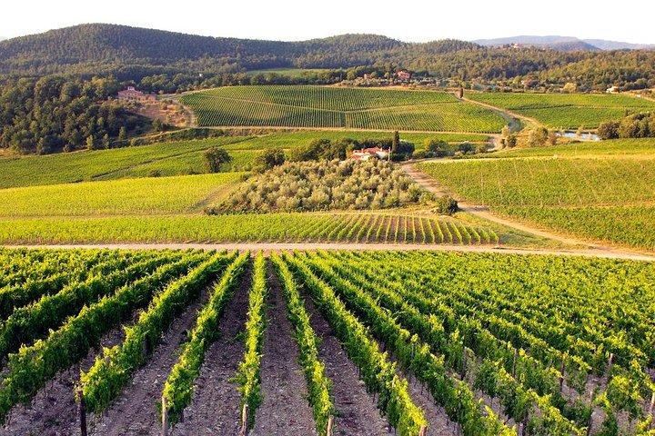 Visita guiada privada: Siena San Gimignano e Chianti