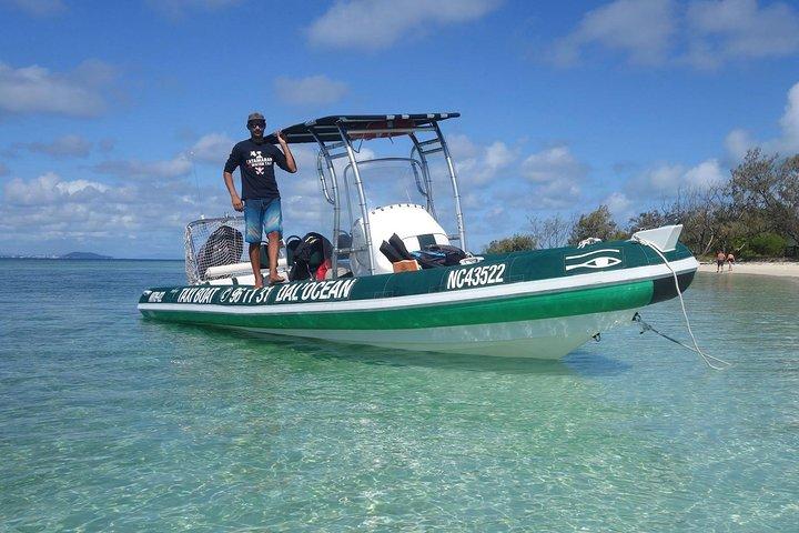 Excursion de tortue de Signal Island en bateau-taxi pour les croisiéristes