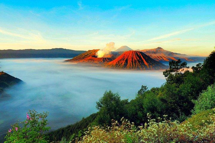 Pacote Bromo Tour: Midnight Bromo Open Trip de Batu