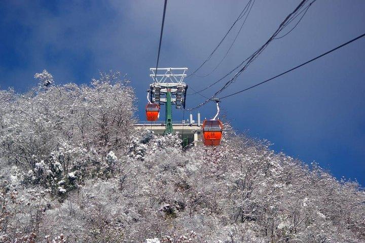 万里の長城を含む北京への私有片道天津港転送