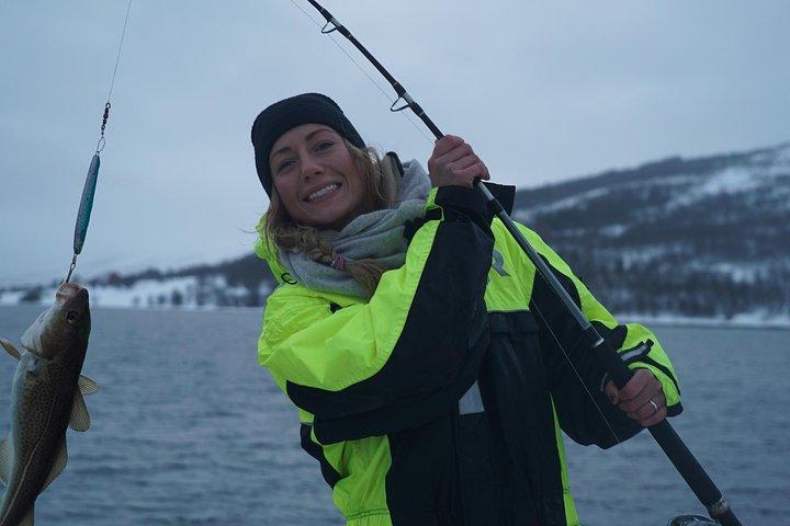 Fisketur med lyxkatamaran i Tromsö