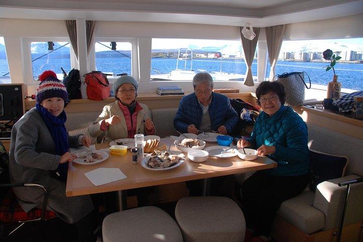 Fisketur med lyxkatamaran i Tromsö