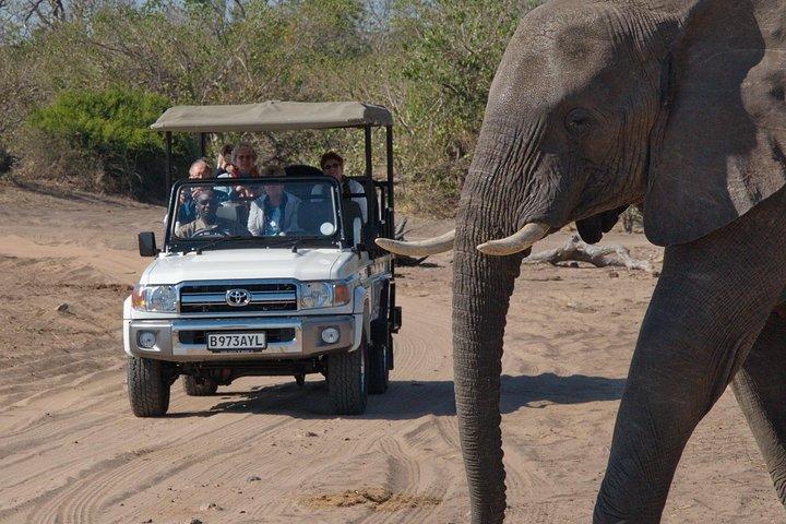 Chobe National Park Pirschfahrt, Botswana