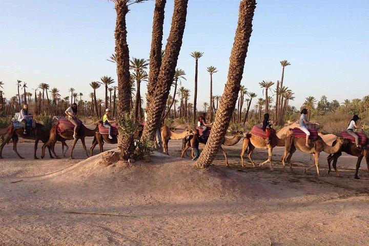 Passeio de camelo em Marrakech