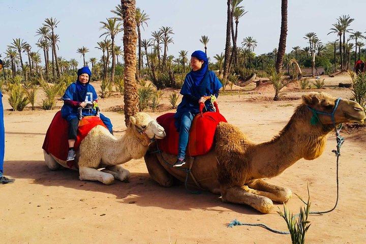 Passeio de camelo em Marrakech