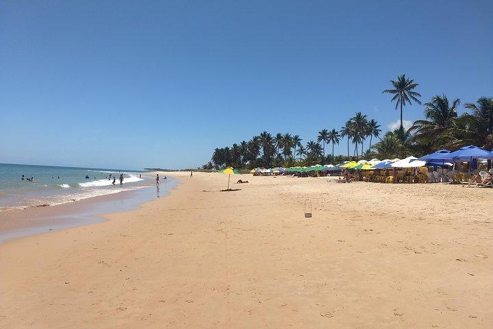 Private Tour to Praia do Forte and Praia de Guarajuba from Salvador
