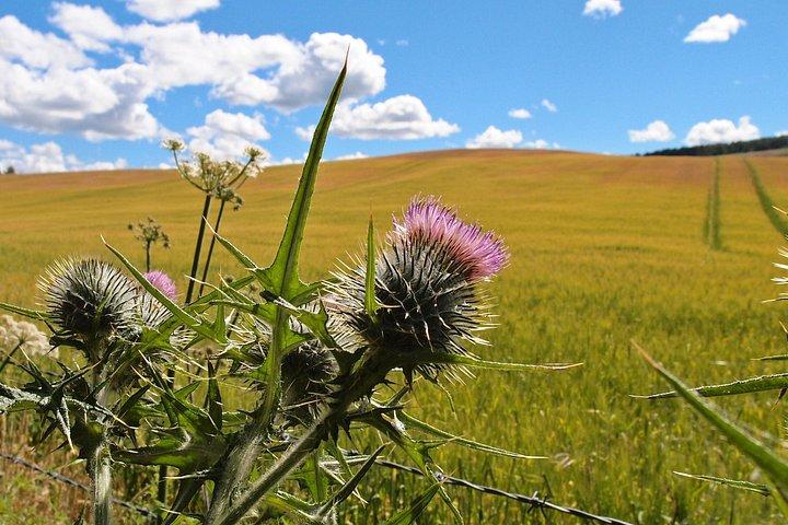Cycle To Loch Ness - Self Guided Cycling Tour