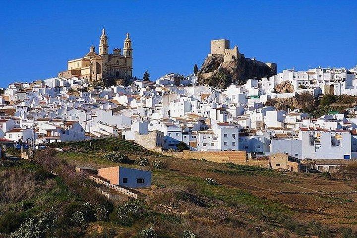 Privé begeleide dagtocht naar de witte dorpen en Ronda vanuit Sevilla