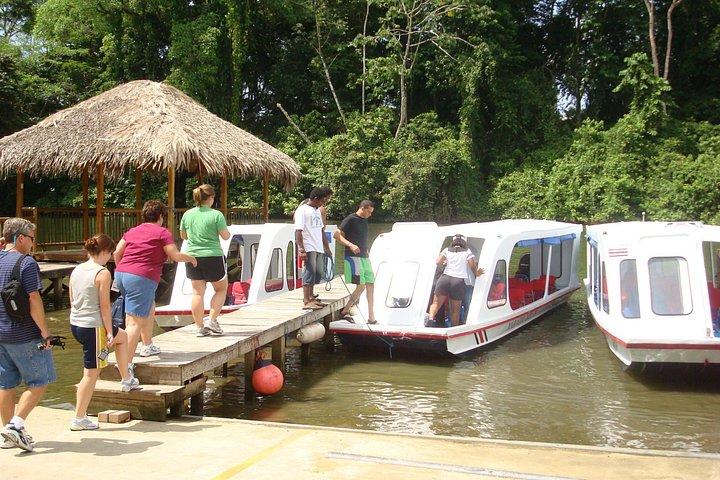 River Boat Expedition & Rainforest promenad. Privat rundtur