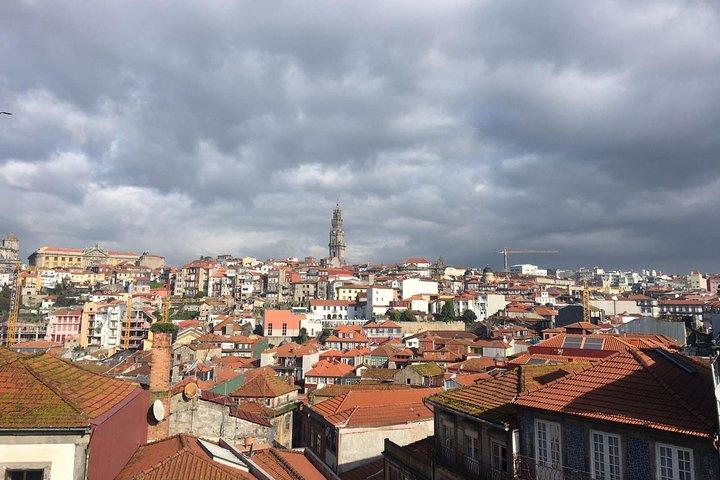 Porto, Lello Bookstore & Clérigos Tower Private Tour From Lisbon