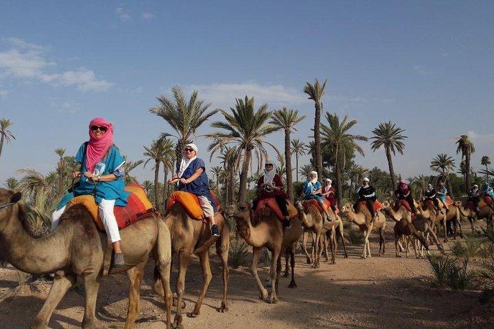 Prova Quad Bikes Camel Ride