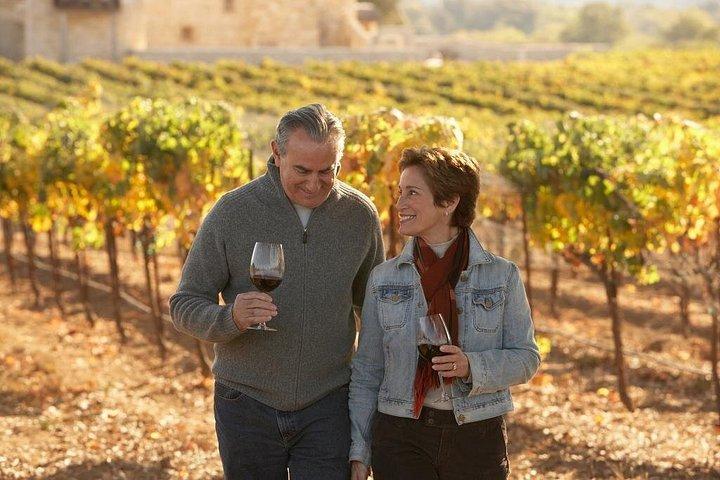 Prosecco en wijn : Privétour met proeverij