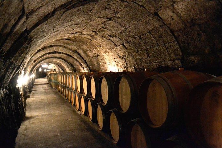 Ribera del Duero Kleingruppentour: Tapas & Weinprobe