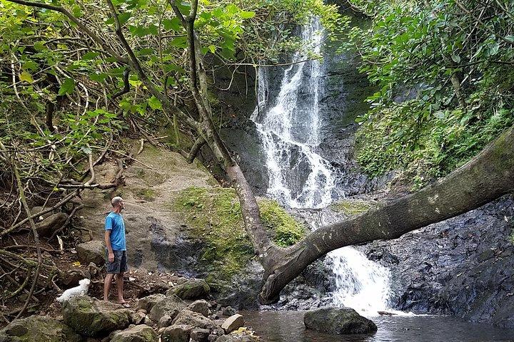 Combinazione completa di Oahu Bike, Hike, Sail e Snorkel