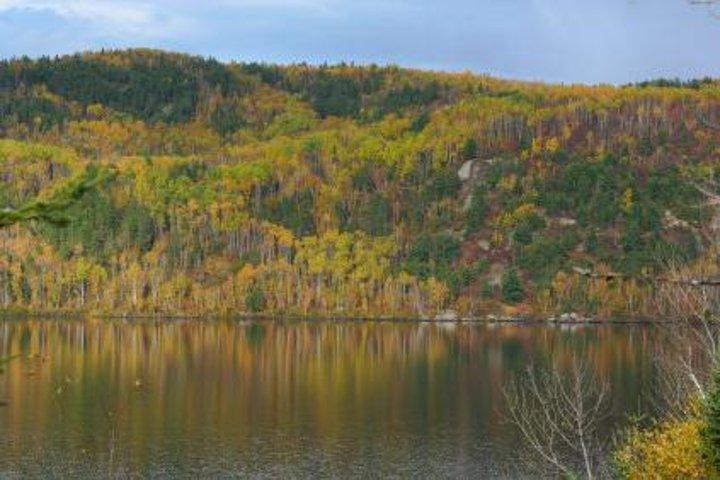 Excursion d'une journée dans les Laurentides, au départ de Montréal