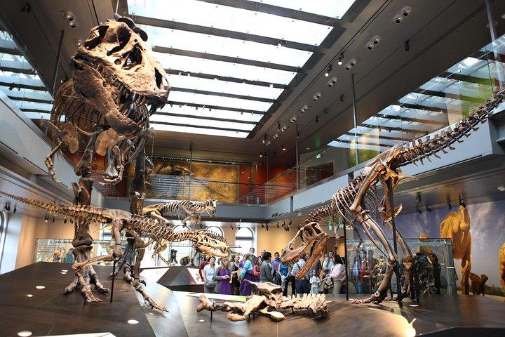 Museu de História Natural do Condado de Los Angeles