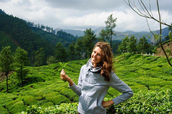 3 Day Munnar Trekking Adventure from Cochin
