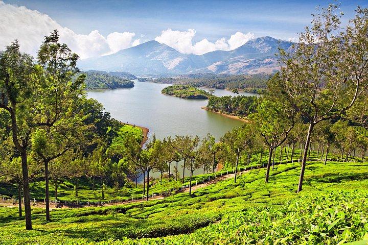 3 Day Munnar Trekking Adventure from Cochin