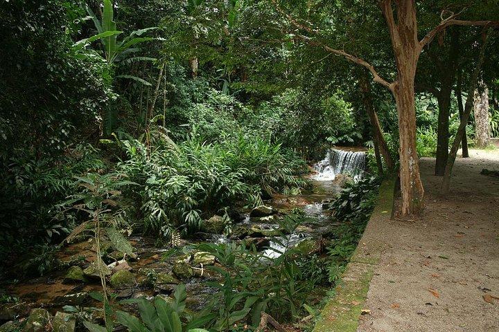 Giardino botanico e foresta pluviale di Tijuca