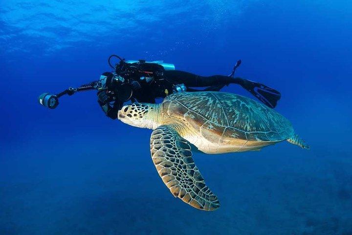 認定ダイバー: オアフ島沖2タンクディープレックとシャローリーフダイブ