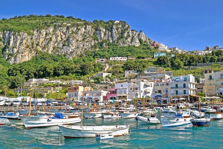 Excursion d'une journée à Capri au départ de Rome avec chauffeur privé