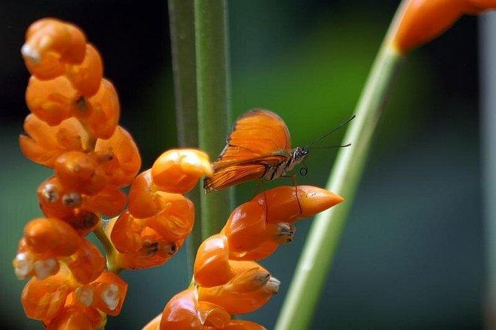 Ecuador Treasures Bucket List 8 Days Tour