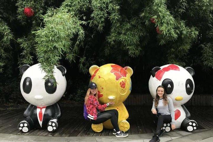 Morning Trip of Giant Panda Base in Chengdu