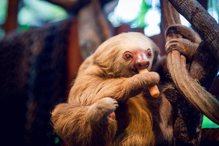 Skip the Line:Day Ticket-La Paz Waterfall Gardens Nature Park & Wildlife Refuge