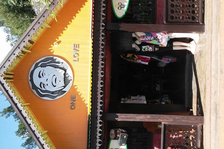 Visite privée du mausolée de Bob Marley au départ d'Ocho Rios