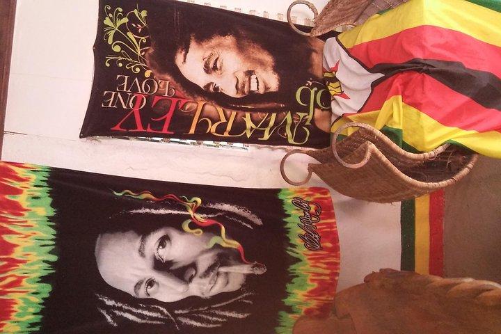 Visite privée du mausolée de Bob Marley au départ d'Ocho Rios