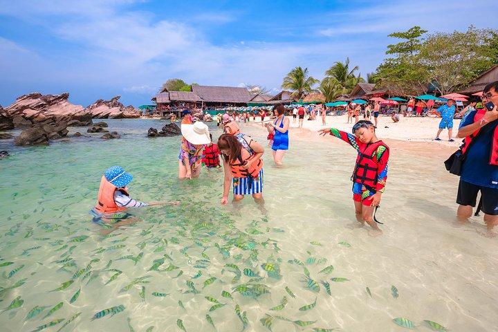 Escape Tropical: Ilhas Phi Phi em um Speedboat de Phuket