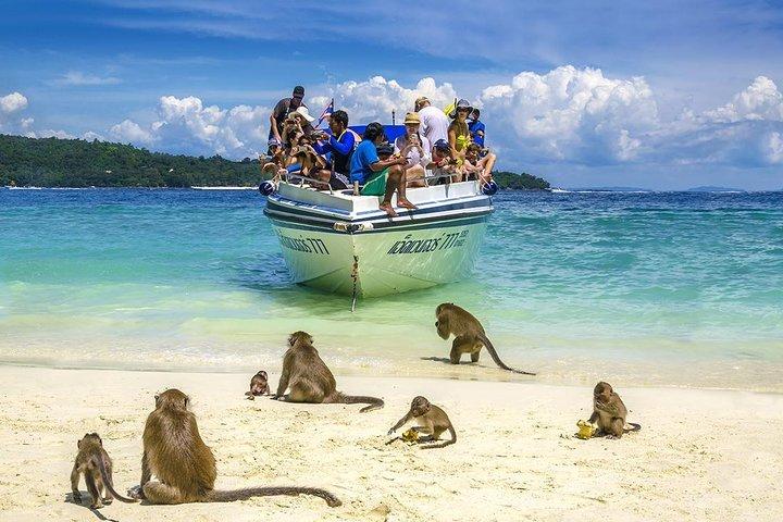 Escape Tropical: Ilhas Phi Phi em um Speedboat de Phuket