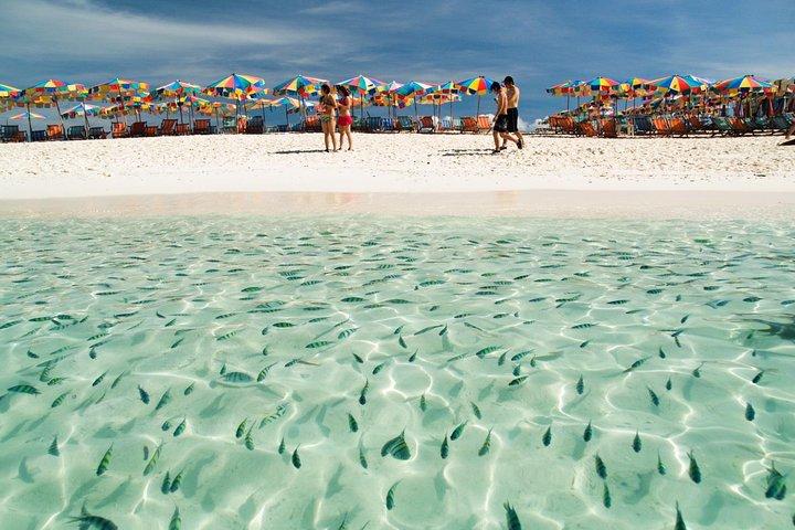 Phuket à Îles Khai : Plongée en demi-journée et paradis de la plage
