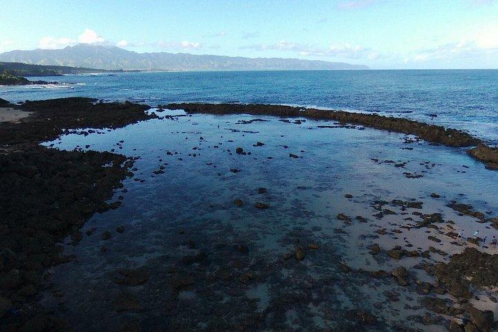 少人数グループ ノース ショア サークル アイランド ツアー オアフ島