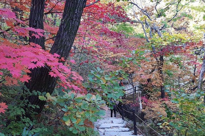 山の専門家と一緒に北漢山ピーク（白雲台：836.5m）へのプライベートハイキングツアー
