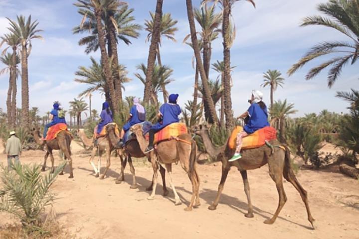 Marrakech Camel Ride Erfahrung mit Pick-up