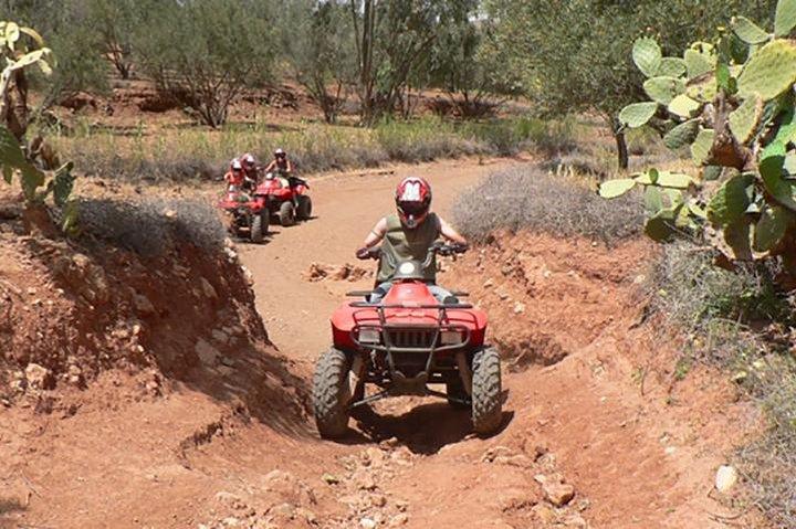 Quad biking in the palm grove of Marrakech