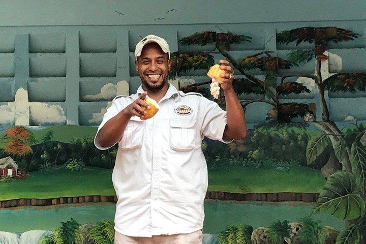 Punta Cana Monkeyland e Zipline duas aventuras em um dia