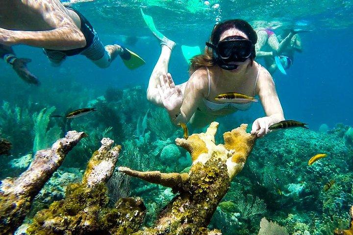 Cayo Arena Day Trip from Puerto Plata