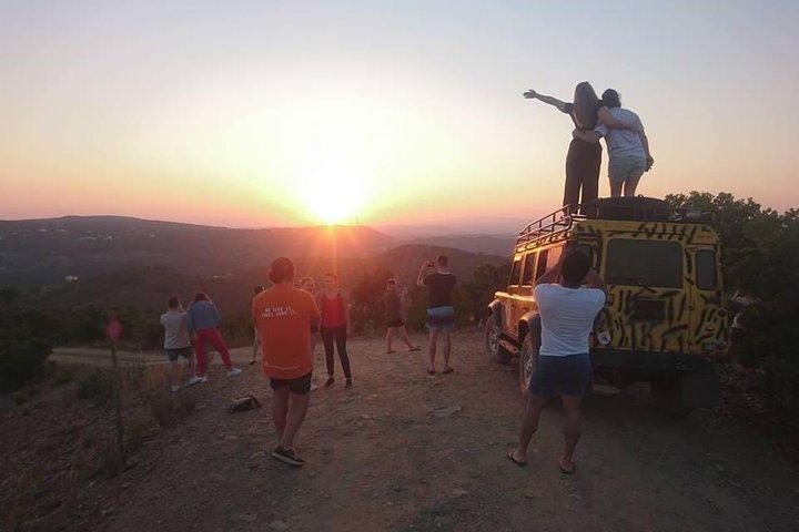 Sunset Safari