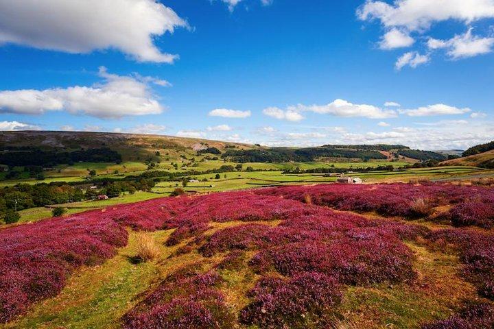 Tagesausflug Yorkshire Dales ab York