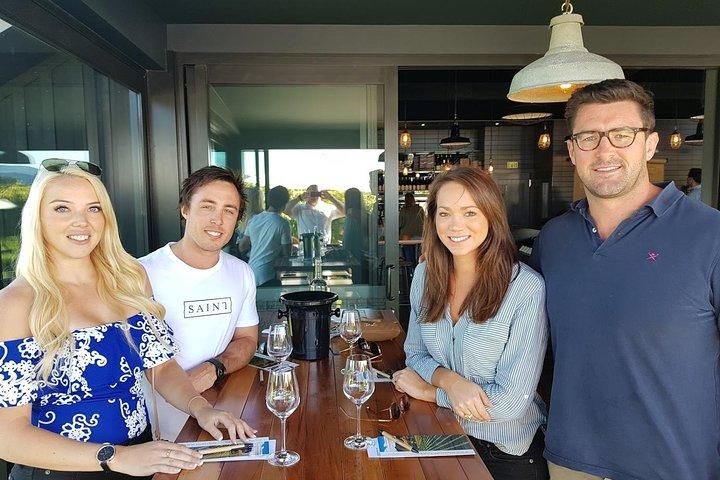 Crociera di un giorno in catamarano di Marlborough con tour enogastronomico e pranzo