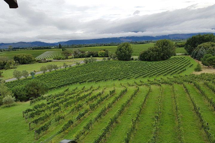 Crociera di un giorno in catamarano di Marlborough con tour enogastronomico e pranzo