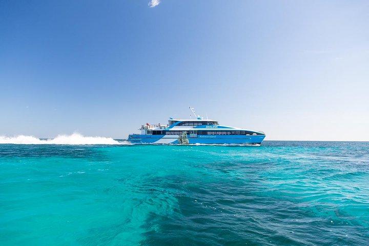 フリーマントルからロットネストアイランドのBayseeker Day Trip