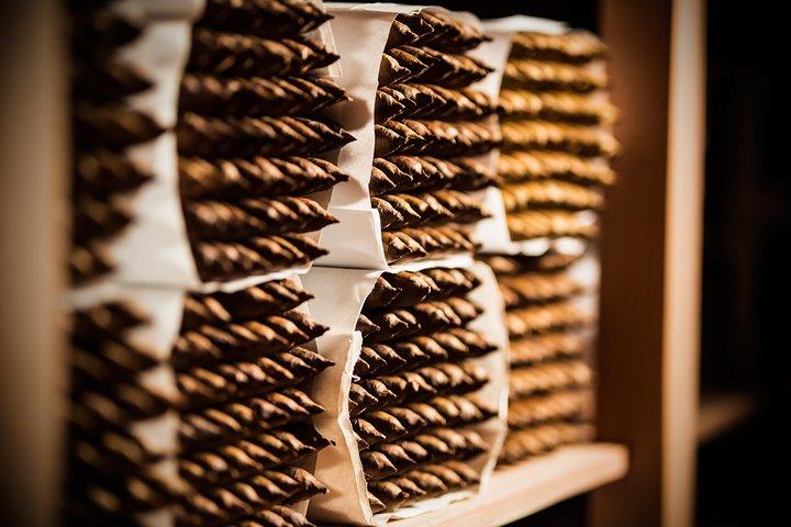 Den dominikanske cigarfabriksrundvisning