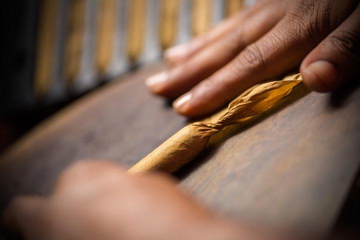 Den dominikanske cigarfabriksrundvisning