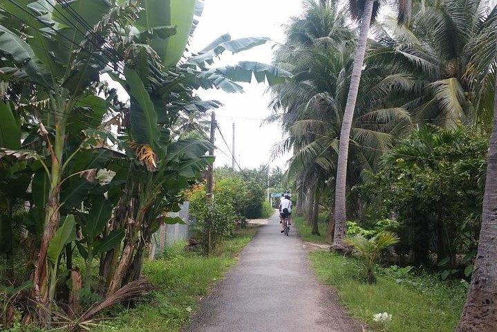 Autentico tour privato di 1 giorno del delta del Mekong Ben Tre "non turistico".