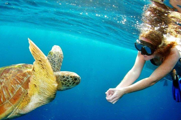 Explora Islas Surin: Excursión de un día de snorkel desde Phuket