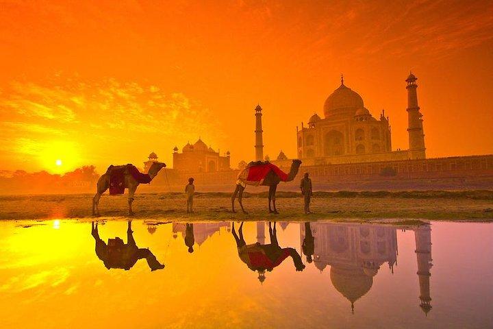 Viaggio privato: tour di un'intera giornata di Agra con Taj Mahal, il Forte di Agra e Fatehpur Sikri