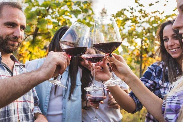 Private Chianti Toscane wijnproeverij uit Florence